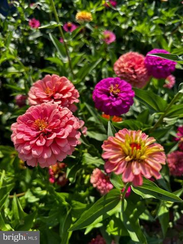 201 FEDERAL ST, Milton, DE 19968