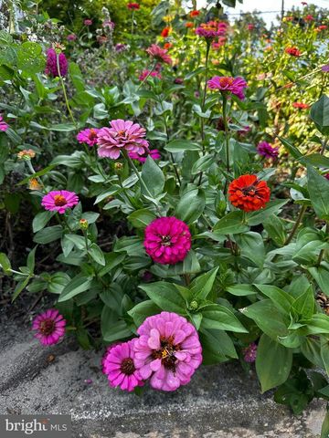 201 FEDERAL ST, Milton, DE 19968