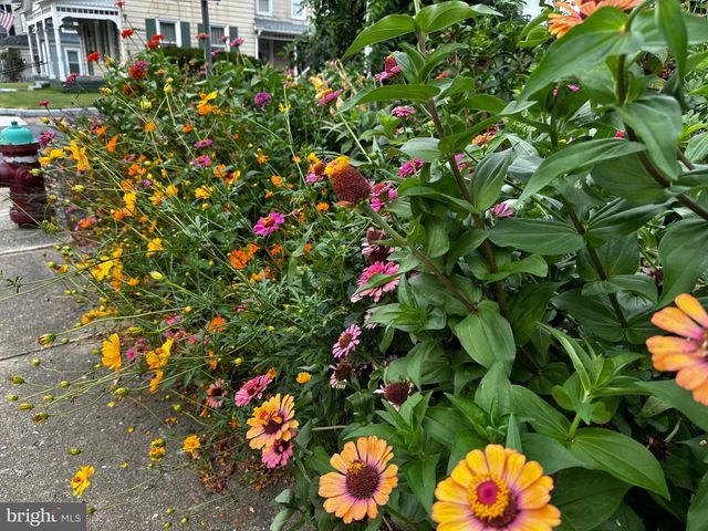 201 FEDERAL ST, Milton, DE 19968