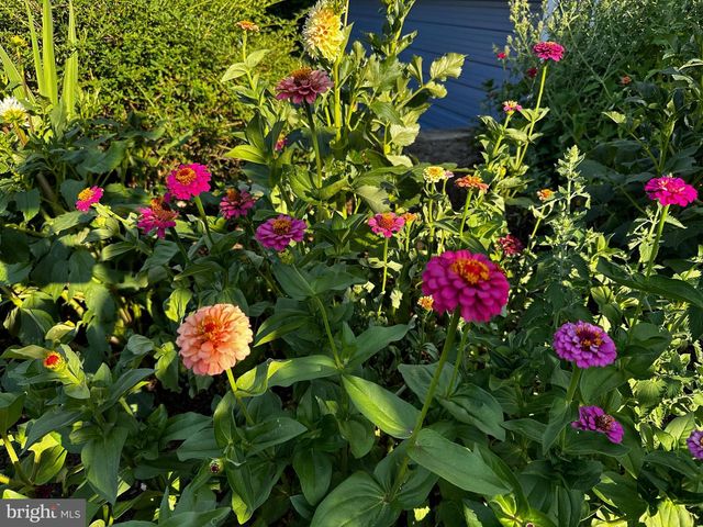 201 FEDERAL ST, Milton, DE 19968