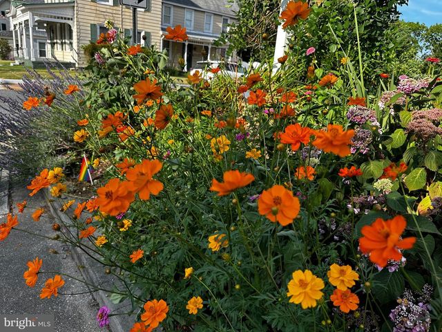 201 FEDERAL ST, Milton, DE 19968