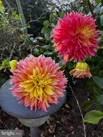 201 FEDERAL ST, Milton, DE 19968