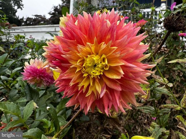 201 FEDERAL ST, Milton, DE 19968