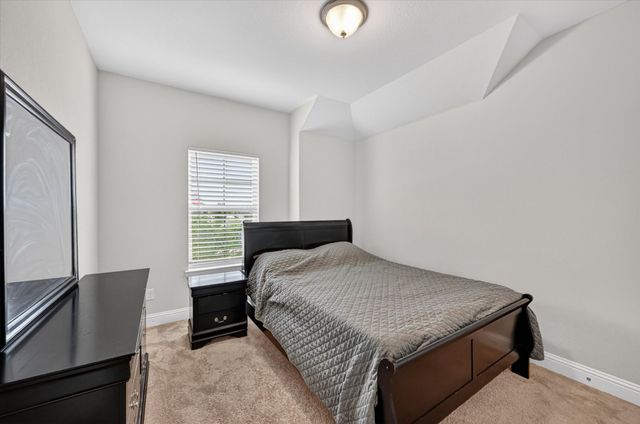7213 Willow Thorne Drive, Little Elm, TX 76227