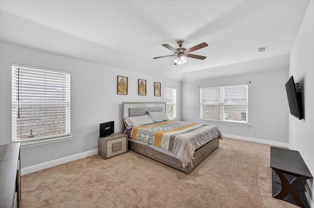 7213 Willow Thorne Drive, Little Elm, TX 76227