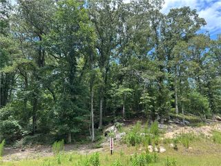 0 Hamilton Road, Chattahoochee Hills, GA 30268