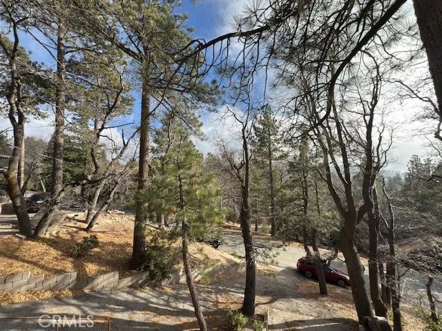 33058 Juniper Lane, Green Valley Lake, CA 92341