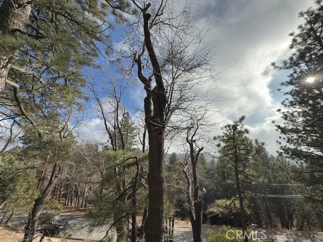 33058 Juniper Lane, Green Valley Lake, CA 92341