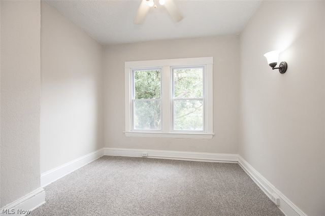516 E 124th Street, Cleveland, OH 44108