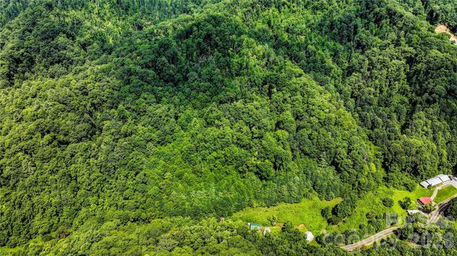 1213 Roaring Fork Road, Mars Hill, NC 28754