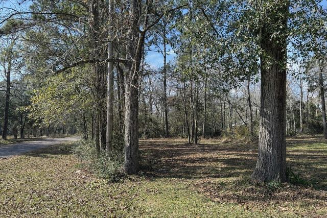 10825 Rose Royal Drive, Conroe, TX 77303