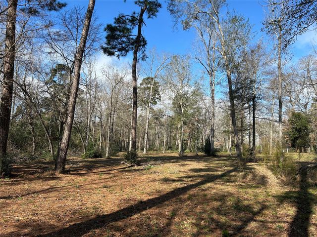 10825 Rose Royal Drive, Conroe, TX 77303