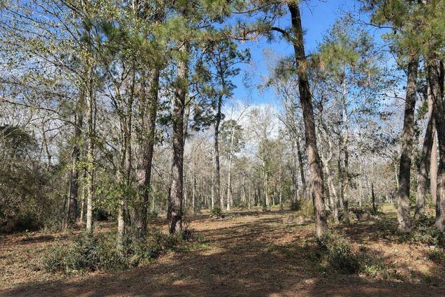 10825 Rose Royal Drive, Conroe, TX 77303