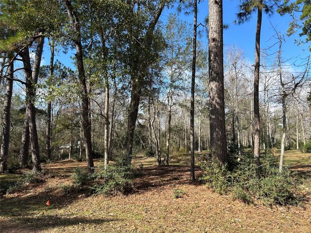 10825 Rose Royal Drive, Conroe, TX 77303