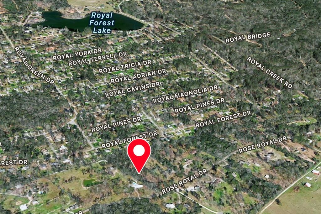 10825 Rose Royal Drive, Conroe, TX 77303