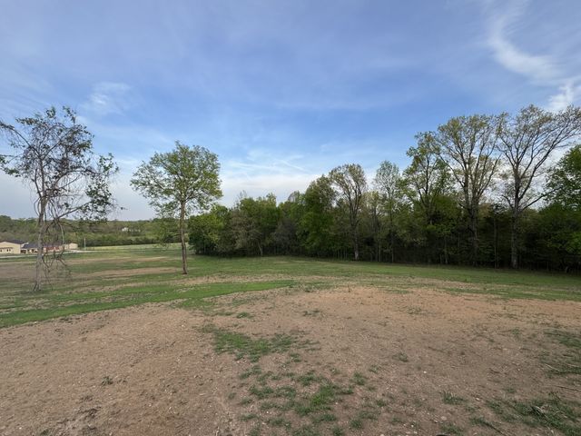 0 Rabbit Branch Rd, Shelbyville, TN 37160