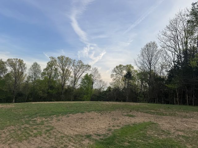 0 Rabbit Branch Rd, Shelbyville, TN 37160