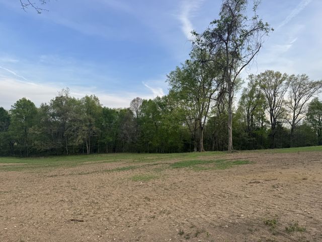 0 Rabbit Branch Rd, Shelbyville, TN 37160