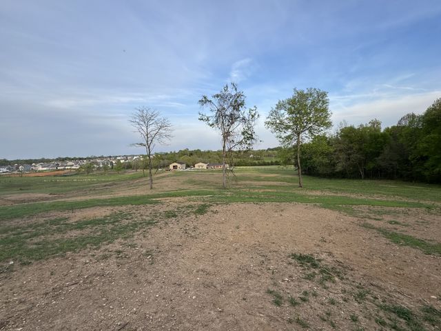 0 Rabbit Branch Rd, Shelbyville, TN 37160