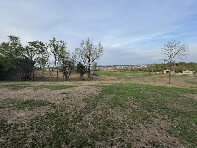 0 Rabbit Branch Rd, Shelbyville, TN 37160