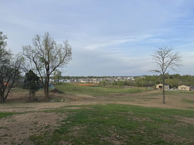 0 Rabbit Branch Rd, Shelbyville, TN 37160