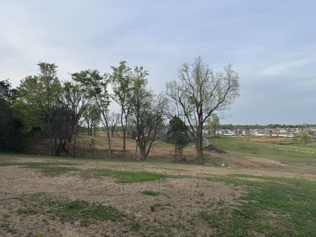 0 Rabbit Branch Rd, Shelbyville, TN 37160