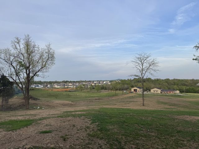 0 Rabbit Branch Rd, Shelbyville, TN 37160