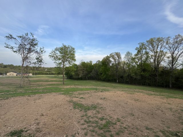 0 Rabbit Branch Rd, Shelbyville, TN 37160