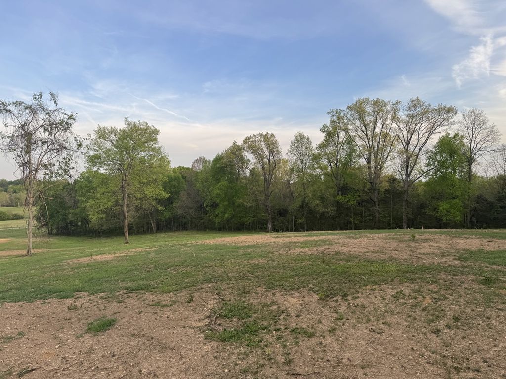 0 Rabbit Branch Rd, Shelbyville, TN 37160