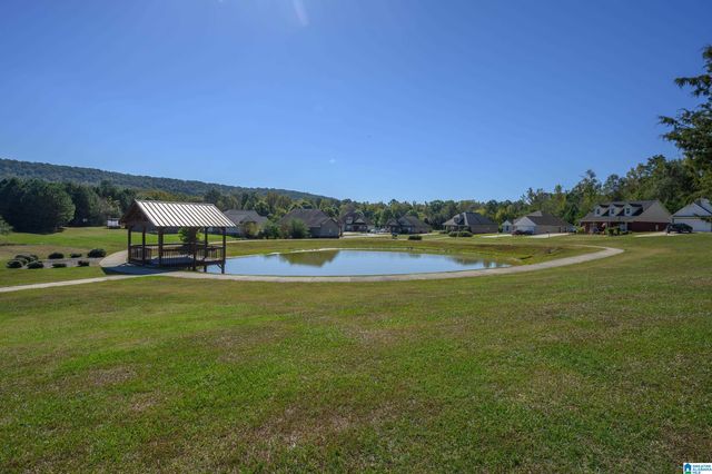 70 FARMHOUSE LANE, Springville, AL 35146