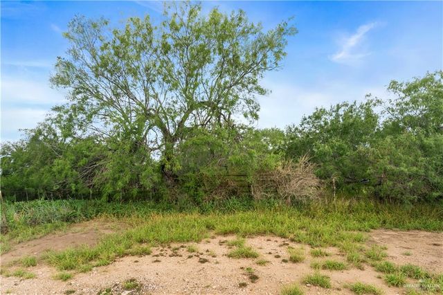 00 Military Road, La Joya, TX 78560