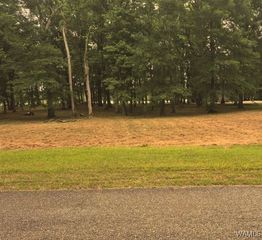 Lot 87 Cypress Point, Akron, AL 35441
