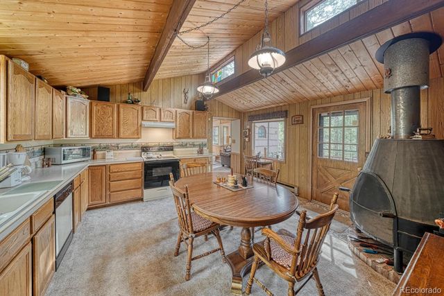 22297 County Road 292d, Nathrop, CO 81236