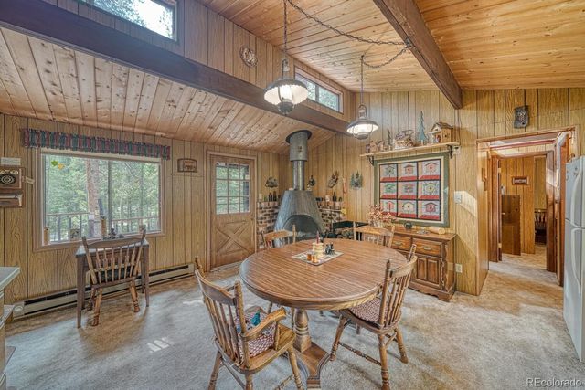 22297 County Road 292d, Nathrop, CO 81236