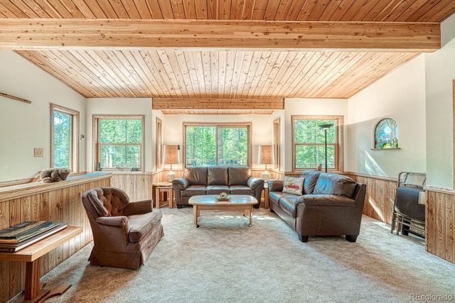 22297 County Road 292d, Nathrop, CO 81236