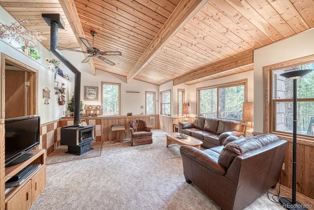 22297 County Road 292d, Nathrop, CO 81236