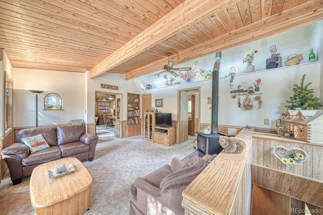 22297 County Road 292d, Nathrop, CO 81236