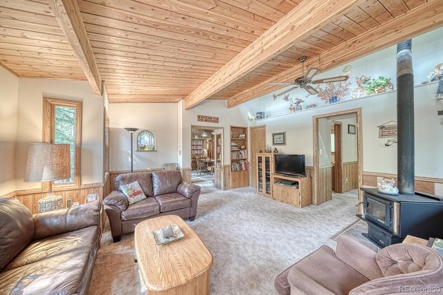 22297 County Road 292d, Nathrop, CO 81236