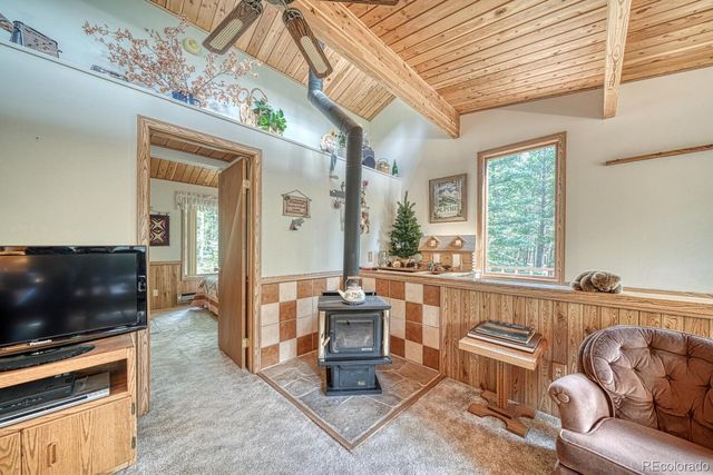 22297 County Road 292d, Nathrop, CO 81236