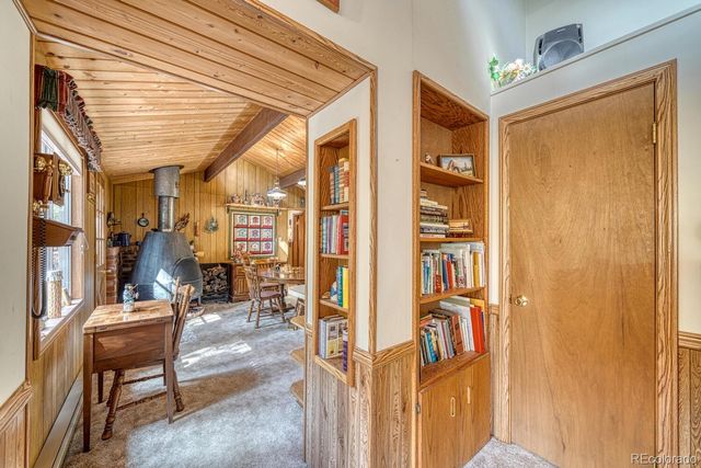 22297 County Road 292d, Nathrop, CO 81236