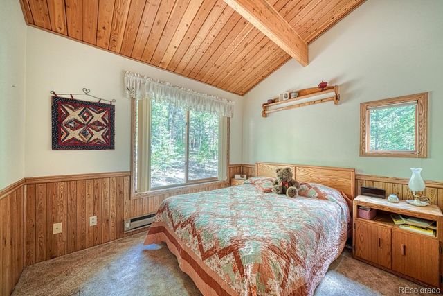 22297 County Road 292d, Nathrop, CO 81236