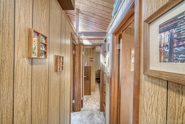 22297 County Road 292d, Nathrop, CO 81236