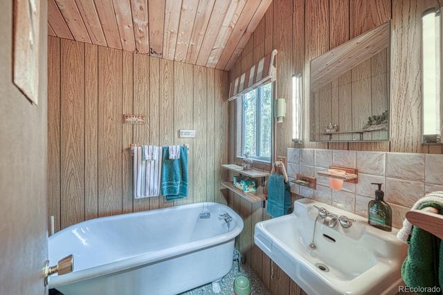 22297 County Road 292d, Nathrop, CO 81236