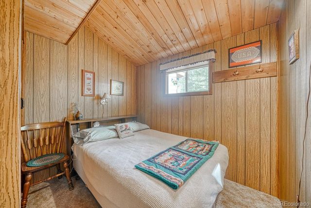 22297 County Road 292d, Nathrop, CO 81236