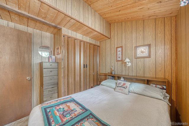 22297 County Road 292d, Nathrop, CO 81236