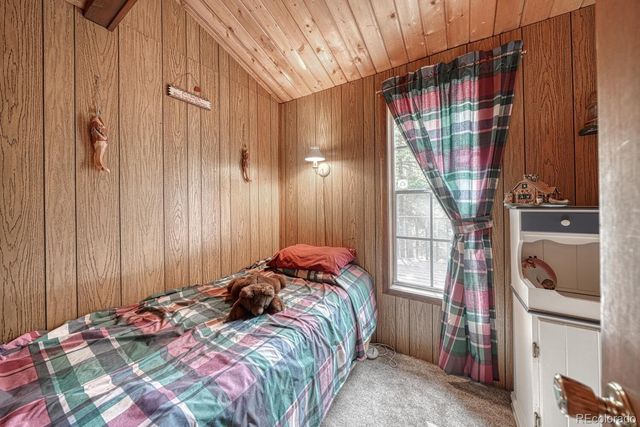 22297 County Road 292d, Nathrop, CO 81236