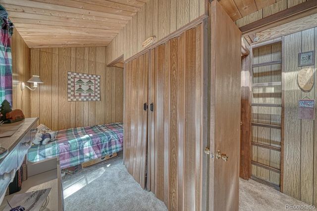 22297 County Road 292d, Nathrop, CO 81236