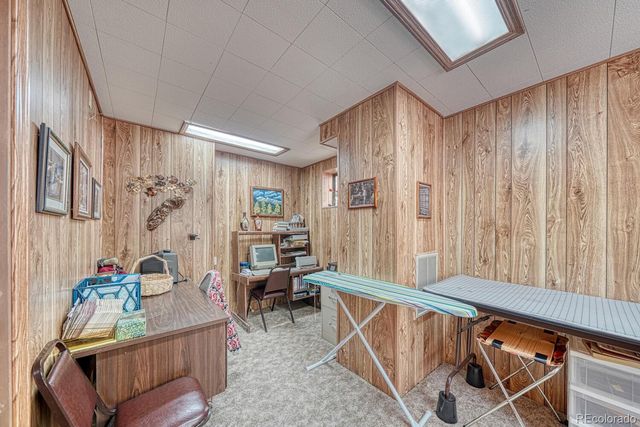 22297 County Road 292d, Nathrop, CO 81236