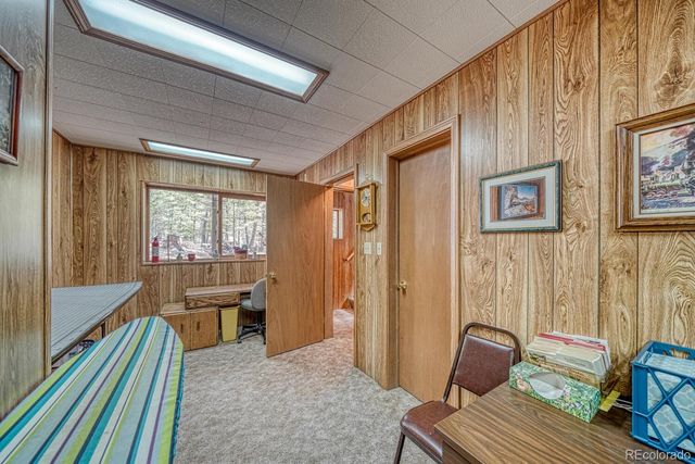 22297 County Road 292d, Nathrop, CO 81236