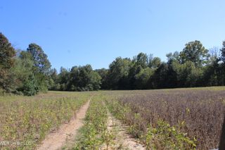 0 Red Banks Road, Byhalia, MS 38611